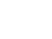 Combustibili Bonuccellii